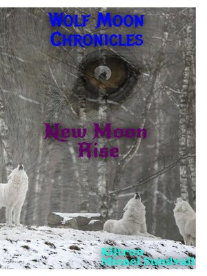 cover image of New Moon Rise